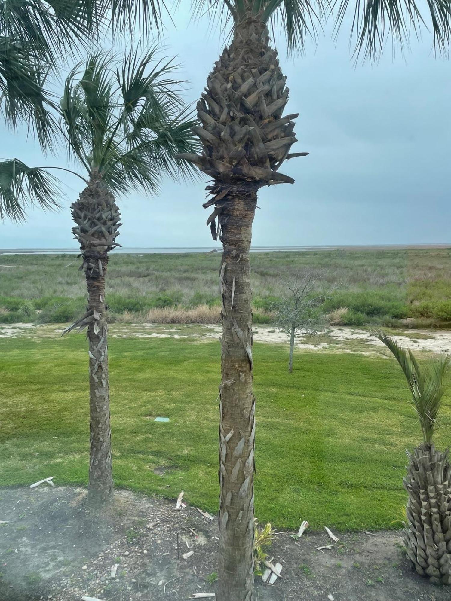 Hitchcock Harborwalk Lodge מראה חיצוני תמונה