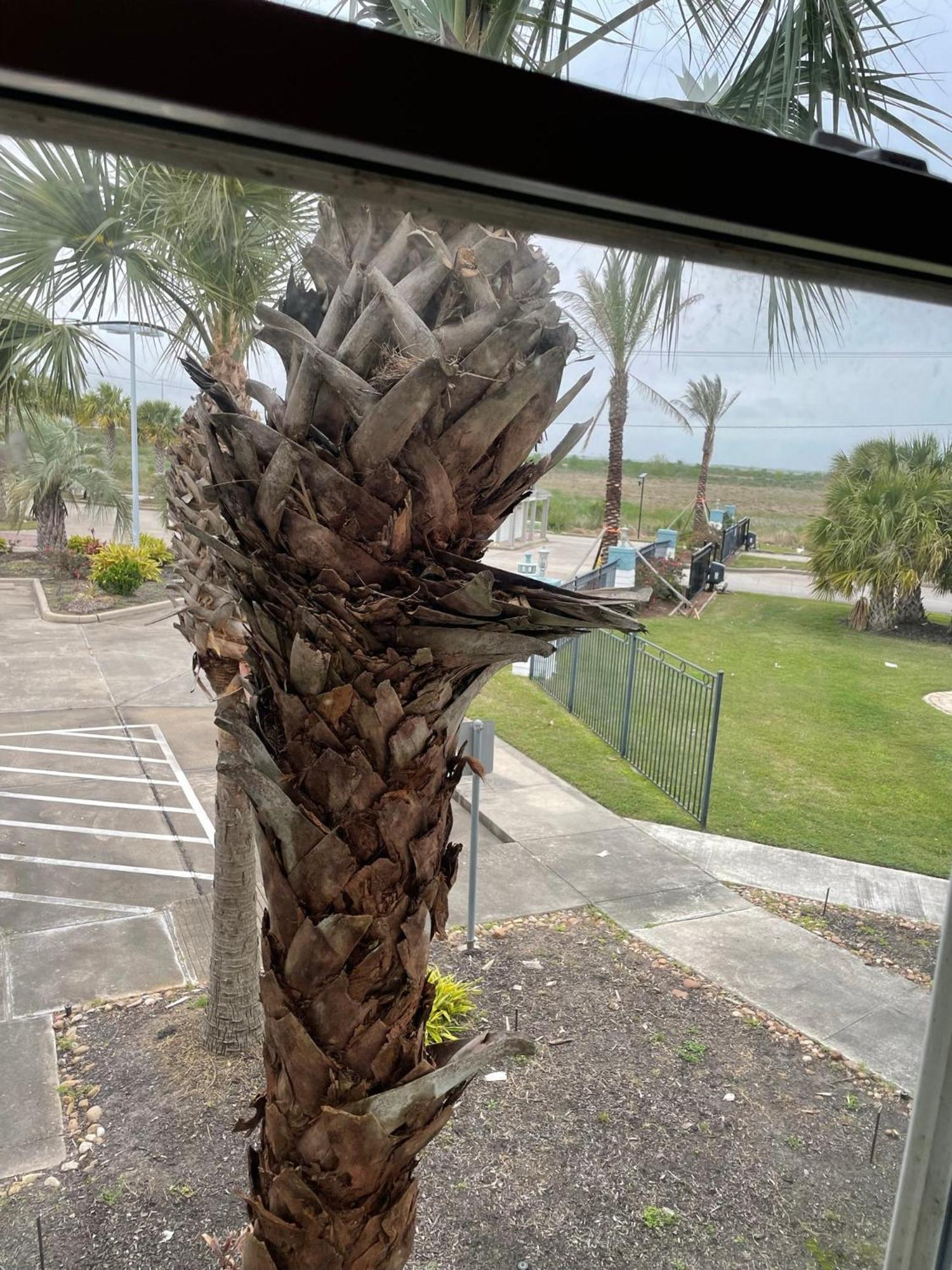 Hitchcock Harborwalk Lodge מראה חיצוני תמונה